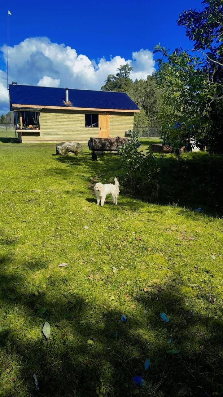 Parcela 5.000 m² con cabaña – 25 min de Villarrica
